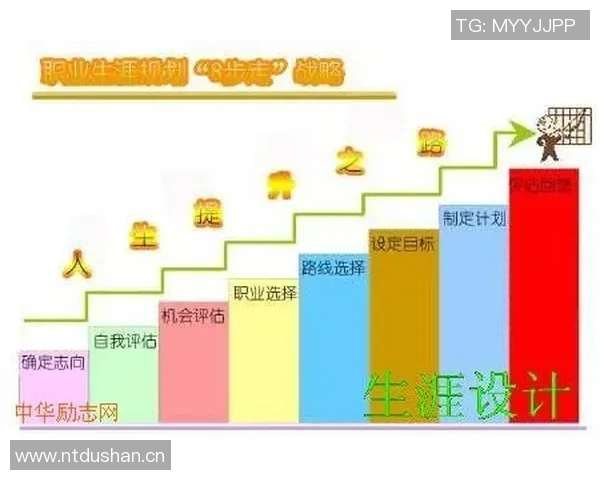 构建全面电竞教育体系探索从小学到大学的培养路径与实践策略